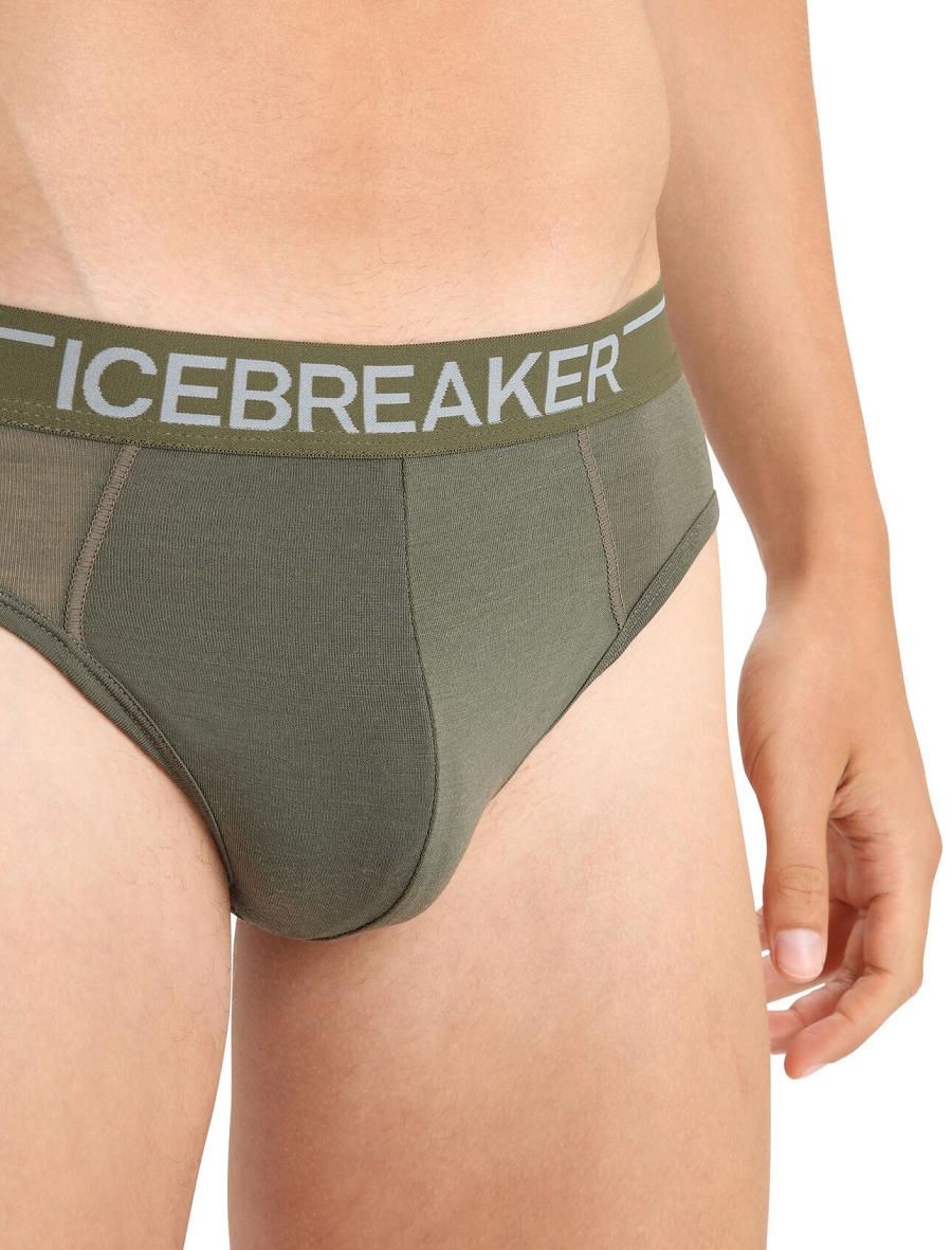 Men's Icebreaker Merino Anatomica Briefs Underwear Loden | CA 1650RVDW